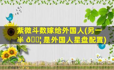 紫微斗数嫁给外国人(另一半 🐦 是外国人星盘配置)